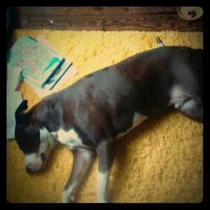 NEW BUNDLE!!!! SAVE 15% WHEN YOU BUY 3 ITEMS!